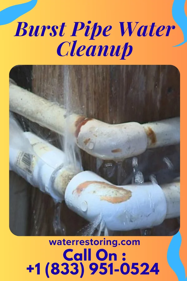 Burst Pipe Water Cleanup in Deerfield, MI